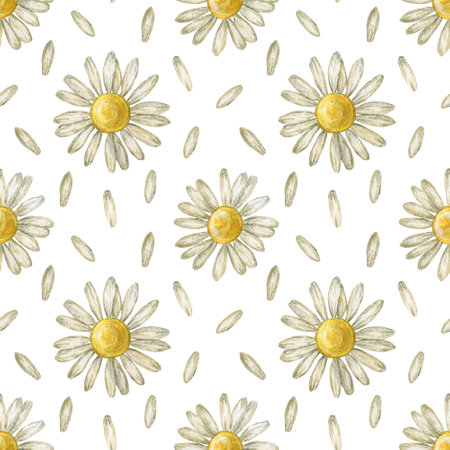 Seamless pattern with flower chamomile. Pencil drawing and watercolor illustration. The print is used for Wallpaper design, fabric, textile, packaging.の写真素材