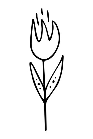 Vector isolated element. Illustration with flower. Minimalist hand drawn doodle. Black line.のイラスト素材