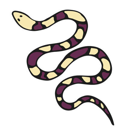 Vector isolated element, snake. Snake with a pattern. Hand drawn colored illustration. Design for card, print, logos, poster. Halloween theme. Animal theme.のイラスト素材