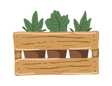 Vector isolated element. Seedlings. gardening. springtime. Color image on a white background. The print is used for packaging design.のイラスト素材