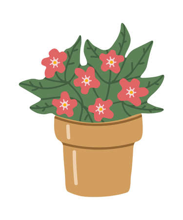 Vector isolated element. Flowers in a pot. Violet. gardening. springtime. Color image on a white background. The print is used for packaging design.のイラスト素材