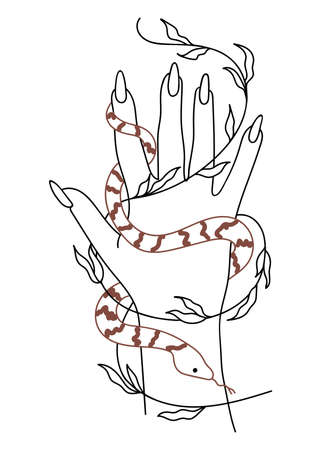 Vector isolated element. hands. snake. Plant. mysticism. Black hand drawn doodle on a white background. The print is used for packaging design.のイラスト素材