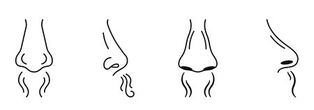 Human nose smell icons, vector breathing noseのイラスト素材