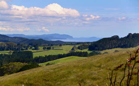 Farm fields and the ocean, New Zealandの写真素材