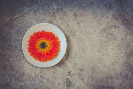Single bright orange gerbera flower contrasting with round white plate on grey stone background. Symmetrical orange flower on a white plate.の写真素材