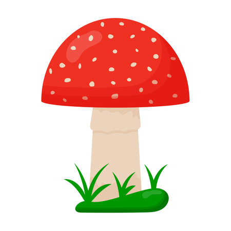 Amanita mushrooms. Red mushrooms with white spots. Fly agaricのイラスト素材
