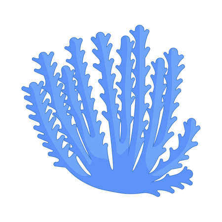 Aquarium seaweed isolated on white background. Sea plants, ocean algae.のイラスト素材