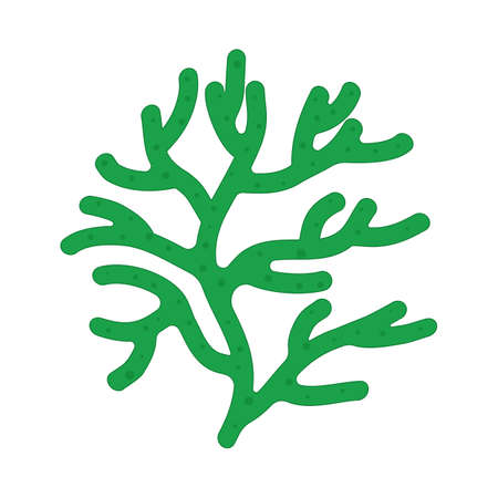 Aquarium seaweed isolated on white background. Sea plants, ocean algae.のイラスト素材