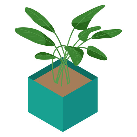 Isometric flower in pot isolated on white background. Home plant for home interior decorationのイラスト素材