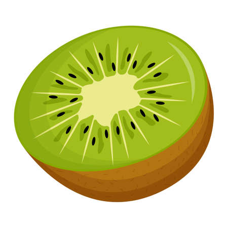 Half of kiwi on white background. Flat vector illustrationのイラスト素材