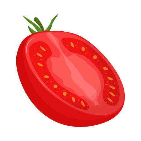 Half of tomato isolated on white background. Flat vector illustrationのイラスト素材