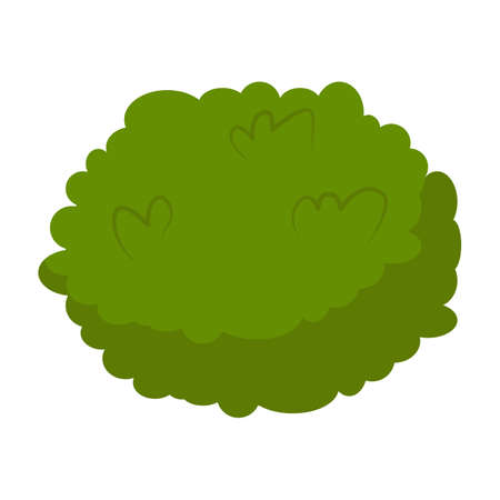 Cartoon spring green bush isolated on white background. Flat vector illustrationのイラスト素材