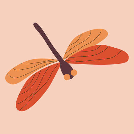 Beautiful dragonfly with colorful wings. Flat vector illustrationのイラスト素材