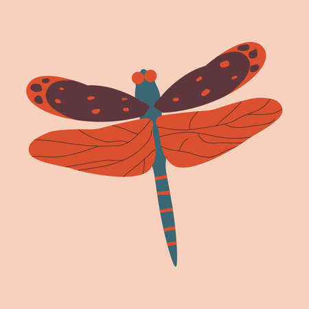 Beautiful dragonfly with colorful wings. Flat vector illustrationのイラスト素材