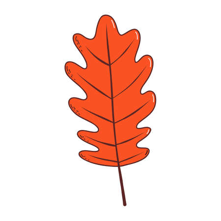 Autumn leaf. Vector illustration in hand drawn styleのイラスト素材