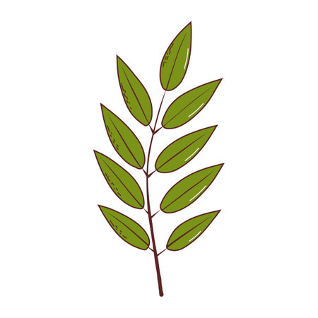 Autumn leaf. Vector illustration in hand drawn styleのイラスト素材