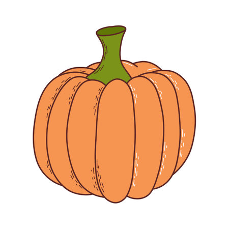 Cute pumpkin. thanksgiving and halloween element. Vector illustration in hand drawn style.のイラスト素材