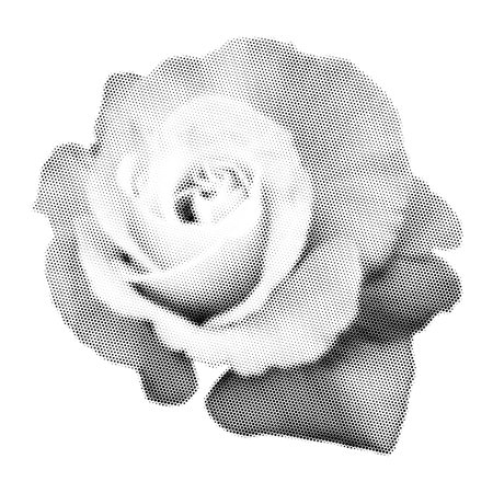 rose collage. Design element in trendy dotted pop art style. Retro halftone effect. Vector illustration with vintage grunge punk cutout shapeのイラスト素材