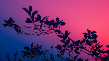 Silhouette of Branches Against Vivid Gradient Sky at Sunsetの素材