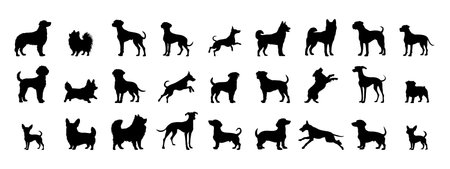 Dog breed in different poses. Animal silhouette.のイラスト素材