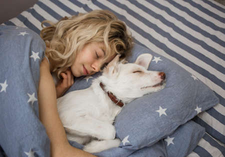 white cute puppy and a teenager girl lie together in bed on a pillow, covered with a blanket, enjoy a pleasant moment. Good morning, positive, comfort. sweet life of petsの写真素材