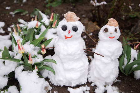 two little smiling snowmen stand on a flowerbed with blooming early spring tulips. Between winter...