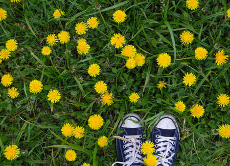 youth sports shoes on green grass among yellow dandelions. walk in the fresh air, harmony, energy of nature, beauty, relaxation, festive mood, freedom. View from aboveの写真素材