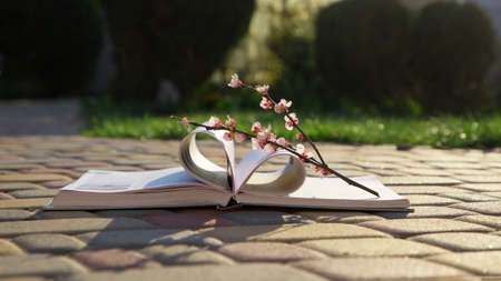 pink flowering sprig of apricot on an open book lying on paving slabs against a background of green...
