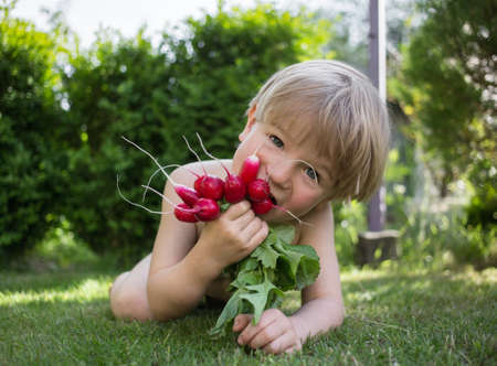 happy cute toddler boy lying on green grass with a harvest of radishes from the garden bed. little helper, farming, healthy eating. Childhood in the summerの写真素材