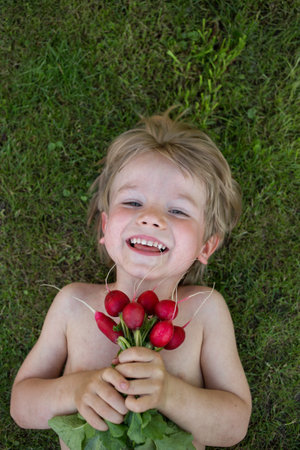 happy cute toddler boy, lying on his back on green grass, holding in hands fresh harvest of radishes from garden. little helper, farming, healthy eating. Joyful childhood in summerの写真素材