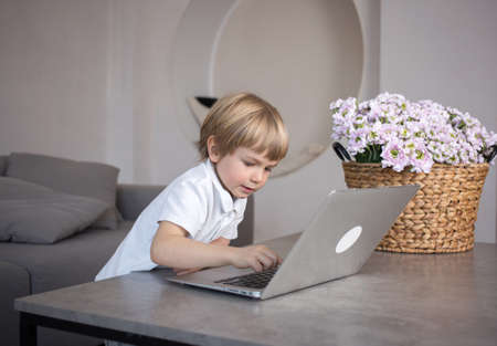 inquisitive cute boy 4-5 years old plays at the laptop keyboard in the room. Distance learning, home office, educational digital games for preschoolers, online communicationの写真素材