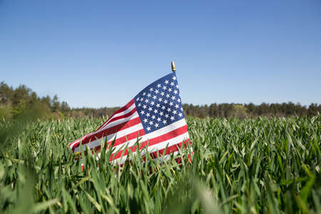 American flag on green grass. Independence Day of the United States of Americaの写真素材
