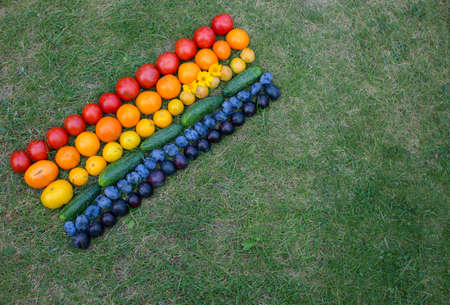 bright ripe multi-colored vegetables and fruits - tomatoes, cucumbers and plums - are laid out in stripes of rainbow colors on the green lawn. Farmer's good harvest. Set of natural vitamin vegetablesの写真素材