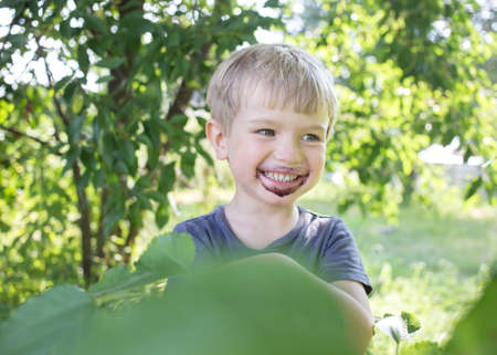 Adorable cheerful little boy with his face smeared with mulberry juice around his mouth, Selective...
