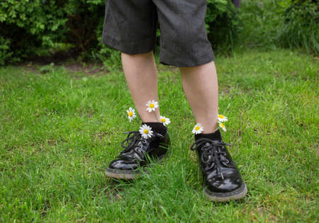 feet of child boy standing on green grass in black patent leather shoes and shorts. Chamomile flower are sticking out of socks. positive atmosphere, happy childhood. idea of congratulations from sonの写真素材