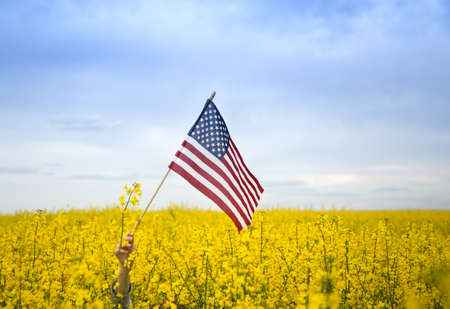 American flag among blooming yellow rapeseed field. pride, patriotism, independence dayの写真素材