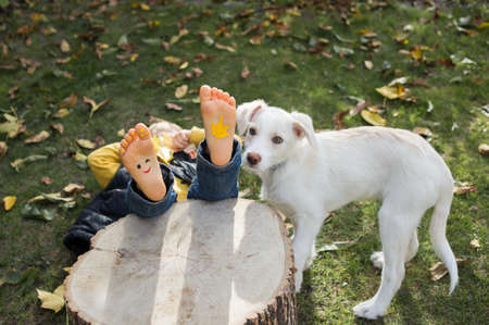 fallen autumn foliage, funny white puppy and bare feet of a child with a painted smile. Autumn mood. Outdoor games for a child and a dog. Favorite pet. Positiveの写真素材