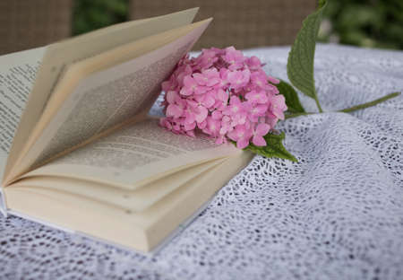 an open book of poetry or prose with a pink hydrangea flower lies on a table covered with a white...