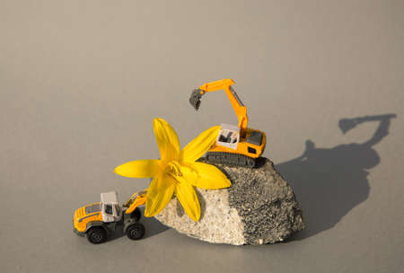 large yellow lily flower between two toy models of construction excavators. business -...