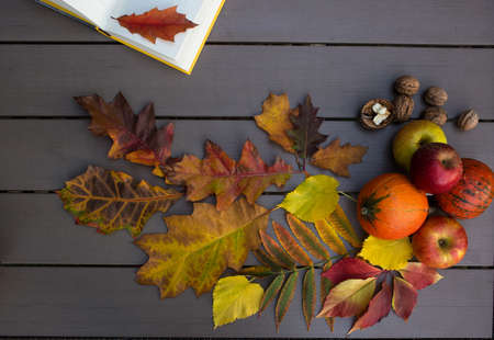 Autumn atmosphere. multicolored bright autumn fallen leaves of oak, maple, birch, pumpkin, apples, part of an open book on a gray table. digital detox. Flat lay. Hello, Autumnの写真素材