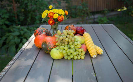 still life from the autumn harvest. organically grown grapes, peppers, corn, pumpkin, apples in assortment on table in the garden. Vitamin set of fresh and mouth-watering vegetables. Thanksgiving dayの写真素材