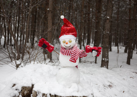Christmas snowman in Santa hat, striped scarf and red gloves. Winter season in a snowy forest. New Year's holidays, waiting for a miracleの写真素材