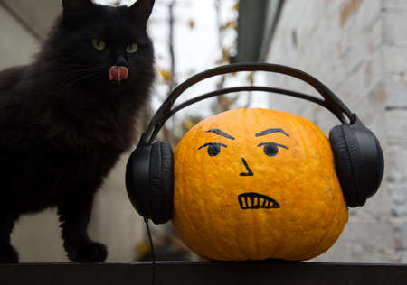 Halloween orange pumpkin with big headphones and a painted grinning face next to a black catの写真素材