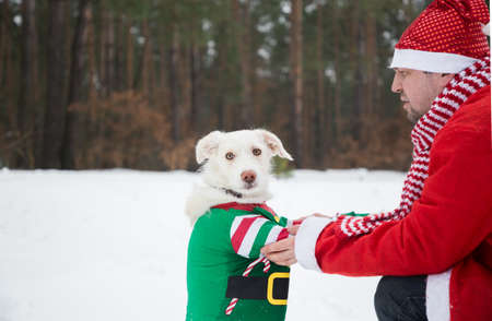 white dog in green jacket Elf and man in red Santa suit sit opposite each other in snowy forest. Hello winter, happy new year holidays. Dog - Santa's helper, favorite pet on a fun winter walkの写真素材