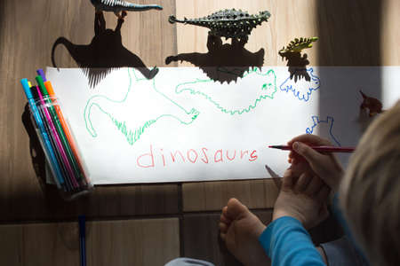 child sits on the floor and draws the contrasting shadows of the dinosaur action figures with a felt-tip pen. ideas for children's creativity. Games with light and shadow. Selective focus.の写真素材
