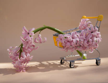 Toy shopping cart, hyacinth flowers on a beige background. Valentine's Day, Mother's Day, Birthday,...