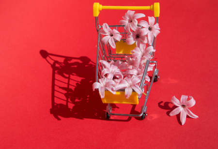 Toy shopping cart, pink hyacinth flowers on a bright red background. Valentine's Day, Birthday, Seasonal sales, discounts in shopping centers. flower delivery. hello spring moodの写真素材