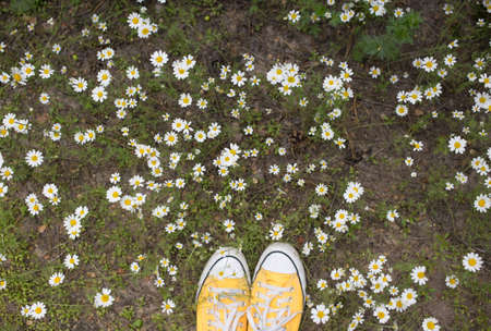 youth rag yellow sneakers among the flowers of forest daisies. walk, harmony, energy of nature, freedom, active lifestyle. view from above. stylish comfortable shoes. hello summer. earth dayの写真素材
