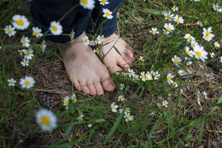 bare feet of a child standing on the grass among daisy flowers in the forest. summer joy, positive...