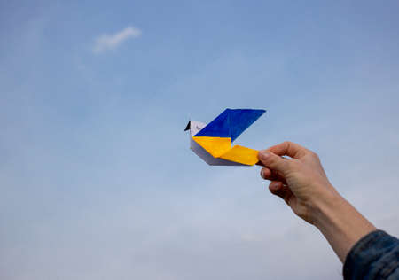 paper dove of peace in his hand, wings are painted in yellow and blue colors of the Ukrainian flag against sky. A symbol of peace. Support Ukraine. Stop Russian invasion, unity, support, patriotismの写真素材
